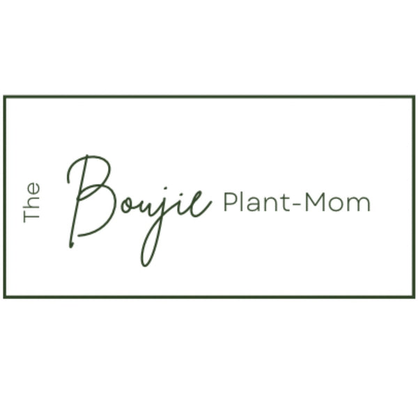 The Boujie Plant Mom
